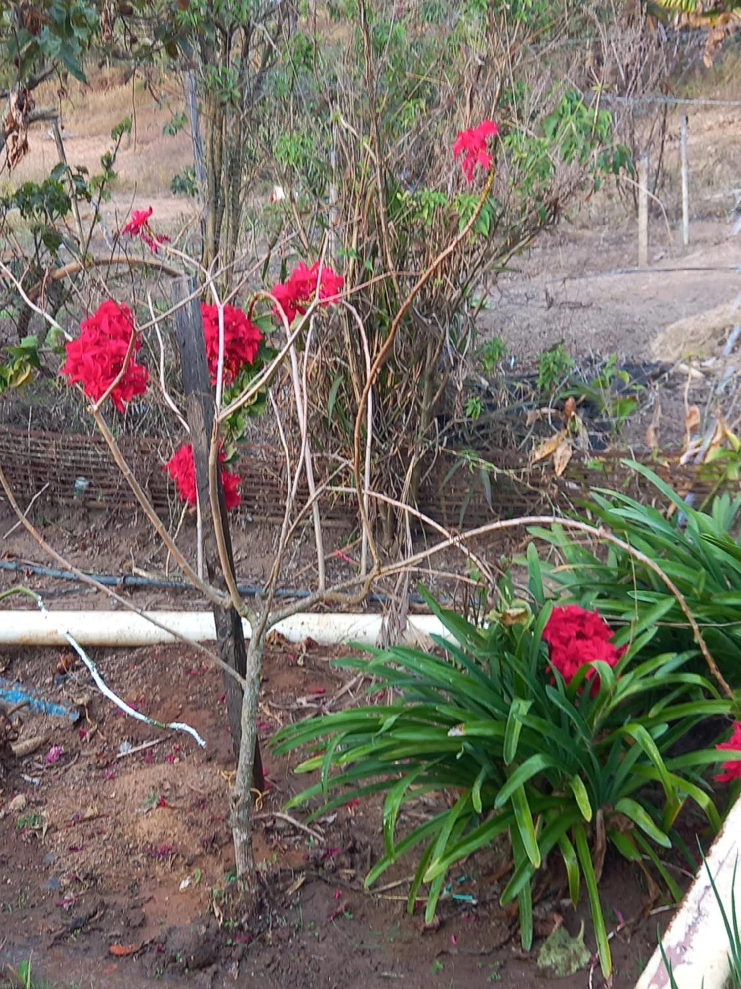 Pousada Recanto Alegre Campestre ภายนอก รูปภาพ
